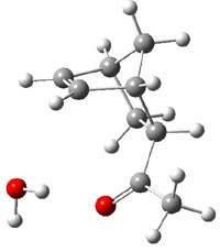 mvkp1