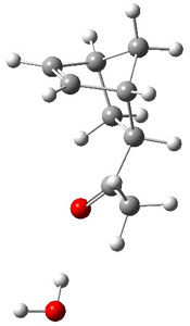 mvkp2